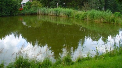 Revize zátopových čar v oblasti rybníka Paleček
