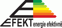 EFEKT 2011