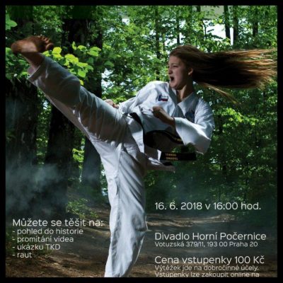 20 LET TAEKWON-DO SONKAL PRAHA