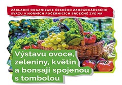 VÝSTAVA OVOCE, ZELENINY, KVĚTIN A BONSAJÍ S TOMBOLOU