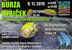 BURZA RYBIČEK