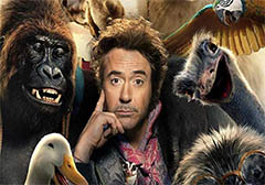 DOLITTLE