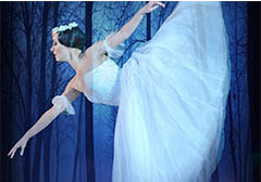 *GISELLE