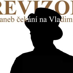 *REVIZOR