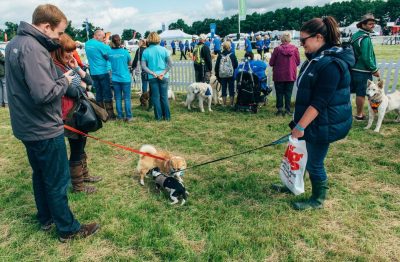 DogFest2018-pejsci