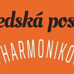 Sousedské posezení s harmonikou