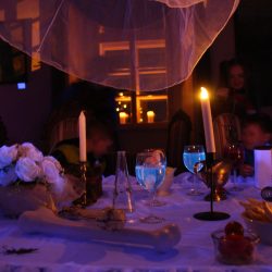 Strašidelná noc na Chvalském zámku – myši, pavouci a havěť všeho druhu