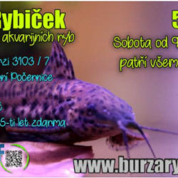 BURZA RYBIČEK
