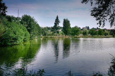 PROTOKOL O MĚŘENÍ KVALITY VODY V RYBNÍCE ELIŠKA