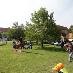 VELETRHU SOCIÁLNÍCH SLUŽEB