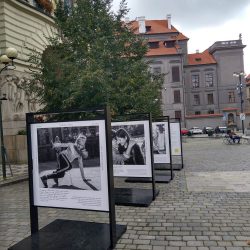 HLAVNÍ MĚSTO PODPOŘÍ HLEDÁNÍ PĚSTOUNŮ NOVOU KAMPANÍ