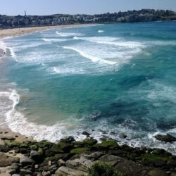 Austrálie/Sydney – čtyři roky studentského života