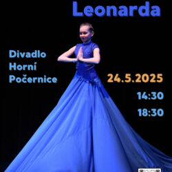 12. Akademie Leonardo (*)