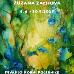 Zuzana Zachová: Artmundo
