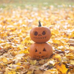 SKAUTSKÉ DÝŇOVÁNÍ