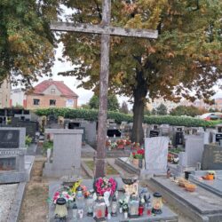 ZÁCHRANA PAMÁTEK V HORNÍCH POČERNICÍCH