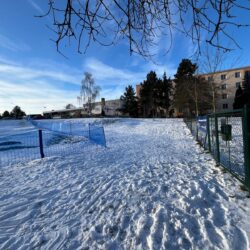 WhatsApp Image 2026-01-12 at 09.08.27.