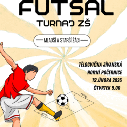 futsal