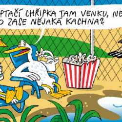 náhled ptačí chřipka