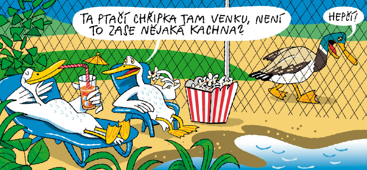 náhled ptačí chřipka