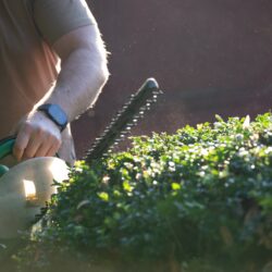 Man,Hand,Holding,And,Using,Hedge,Trimmer,Machine,For,Bush