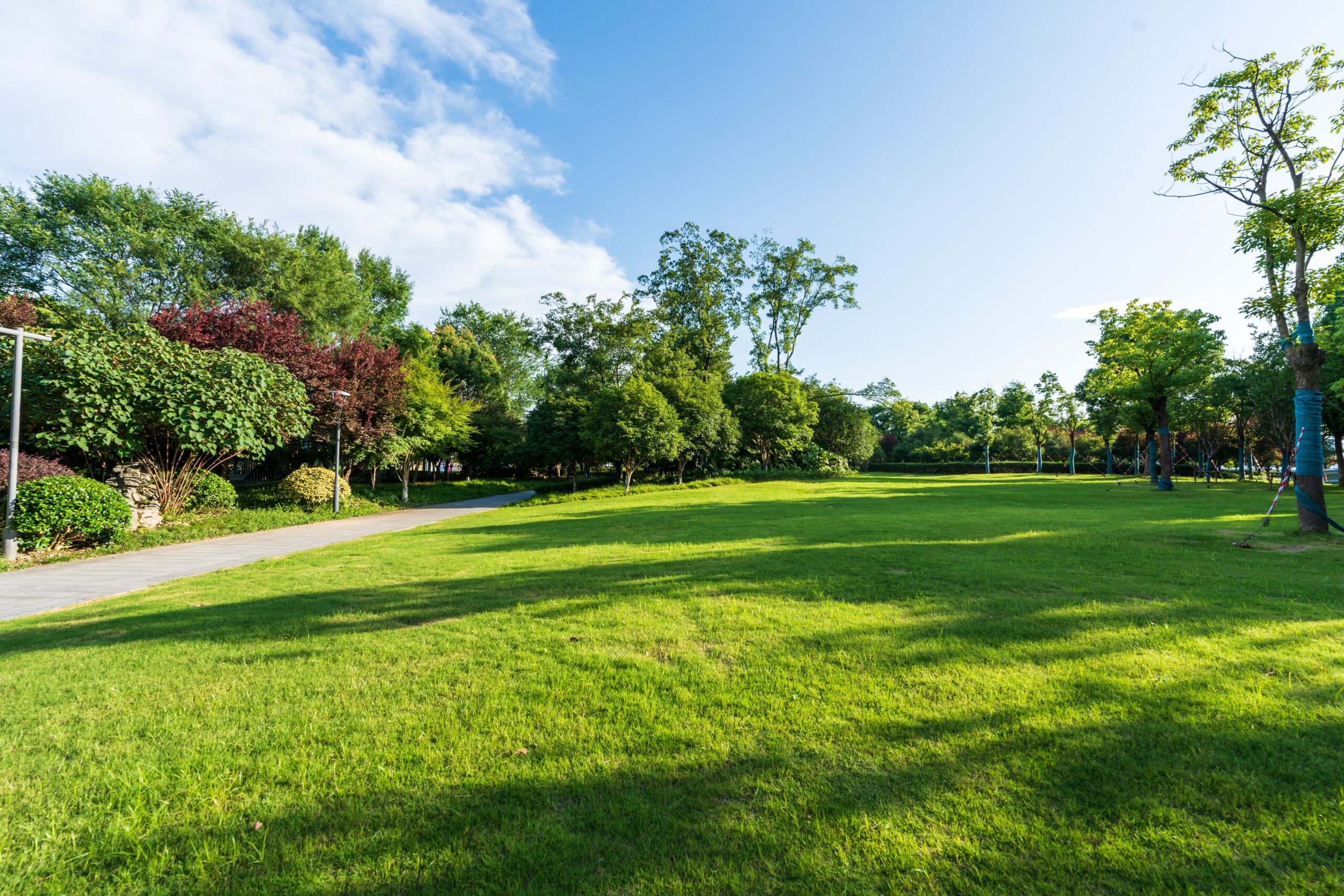 Green,Lawn,In,City,Park