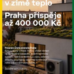 Výstřižek